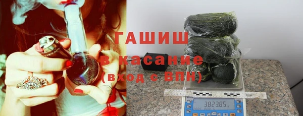 гидра Бородино