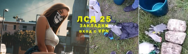 гидра Бородино