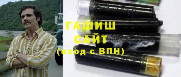 гидра Бородино