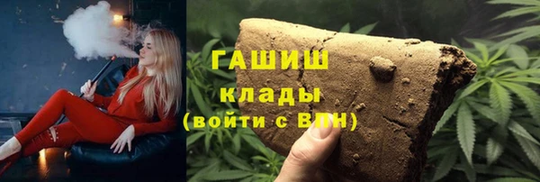 гидра Бородино