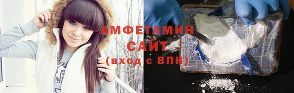 гидра Бородино
