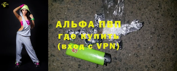 гидра Бородино