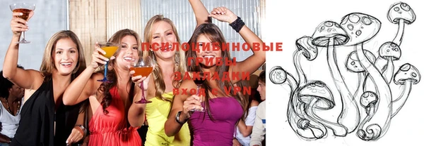 гидра Бородино