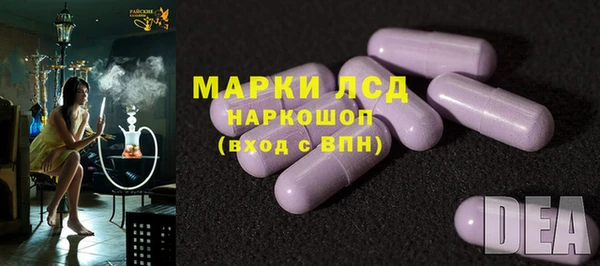 гидра Бородино