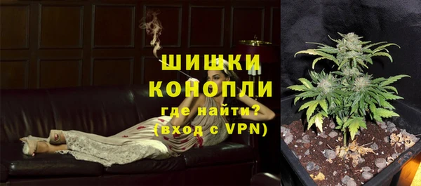 гидра Бородино