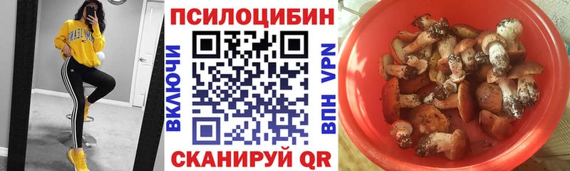 Купить  Мариинск  Псилоцибиновые грибы GOLDEN TEACHER 